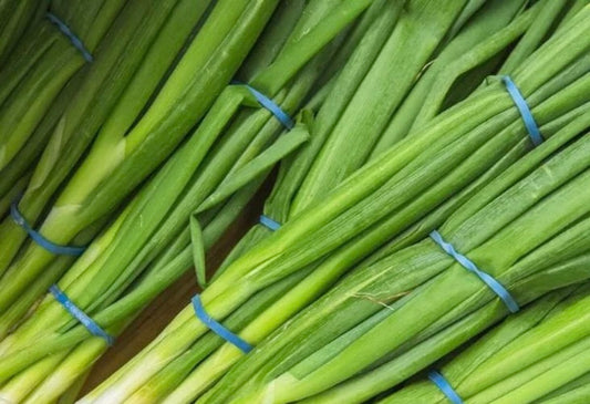 Green Onions (Scallions)