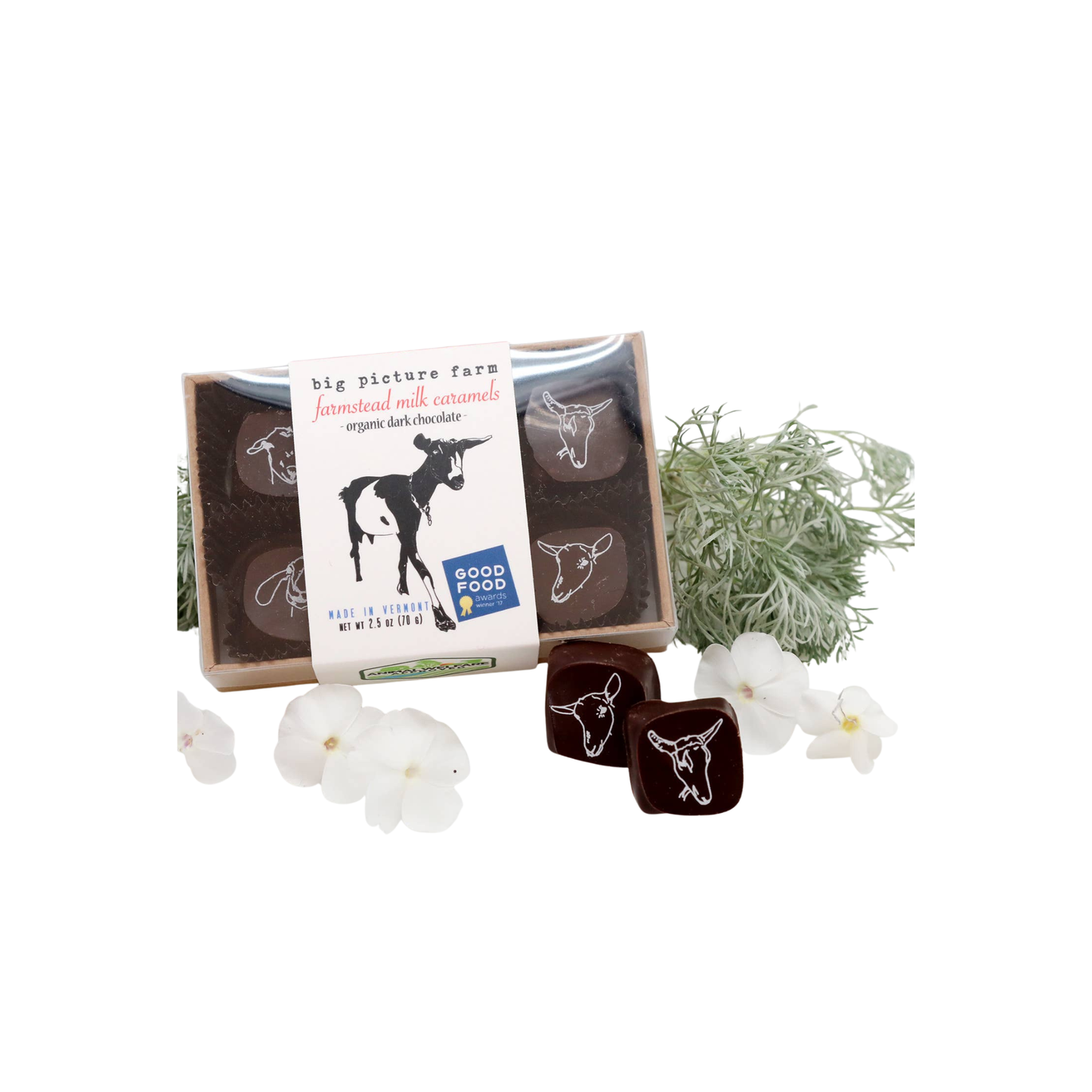 Chocolate Covered Goat Milk Caramel 2.5 oz – Big Picture Farm