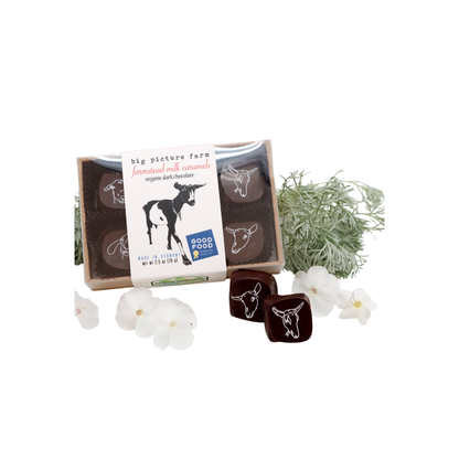 Chocolate Covered Goat Milk Caramel 2.5 oz – Big Picture Farm