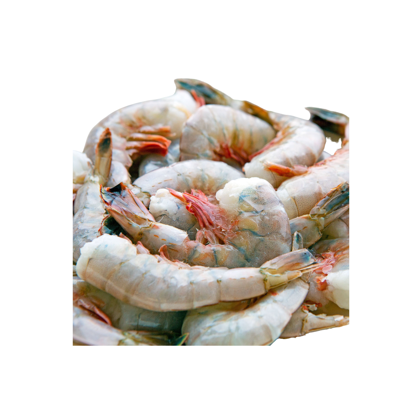 Shrimp, 16/20 Shell On 1 Lb - All Fresh Seafood