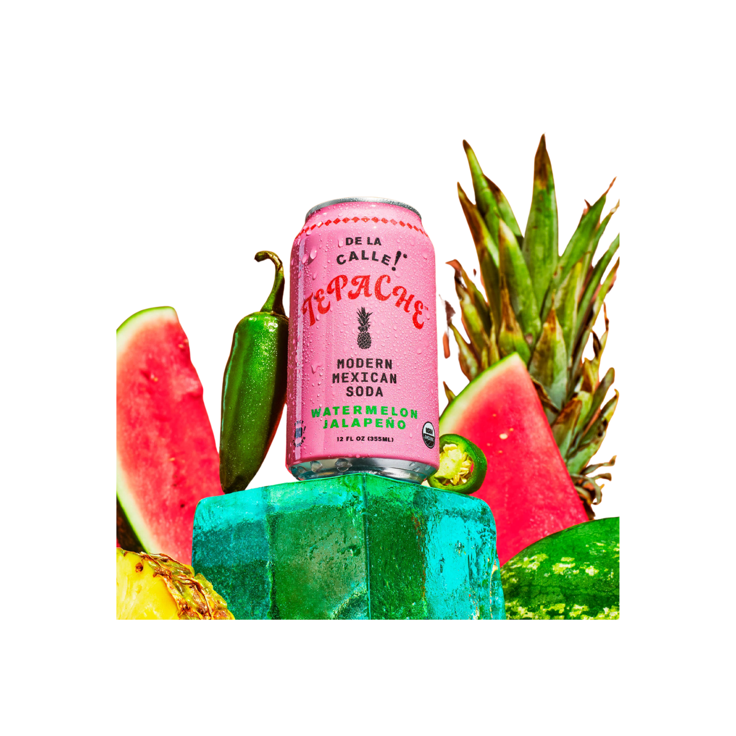 Watermelon Jalapeno Tepache Fermented Beverage 12 oz – De la Calle