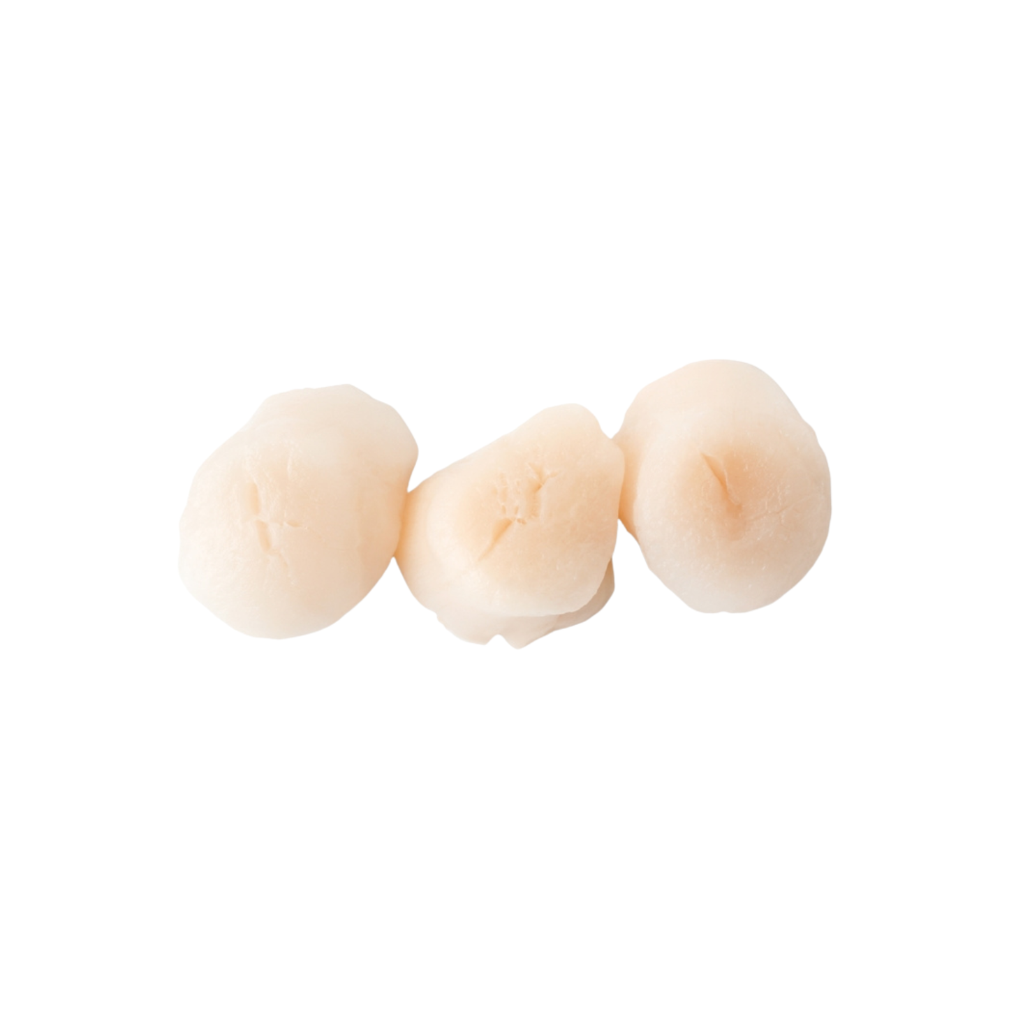 Scallops Dry 10/20 Ct 1 lb – All Fresh Seafood