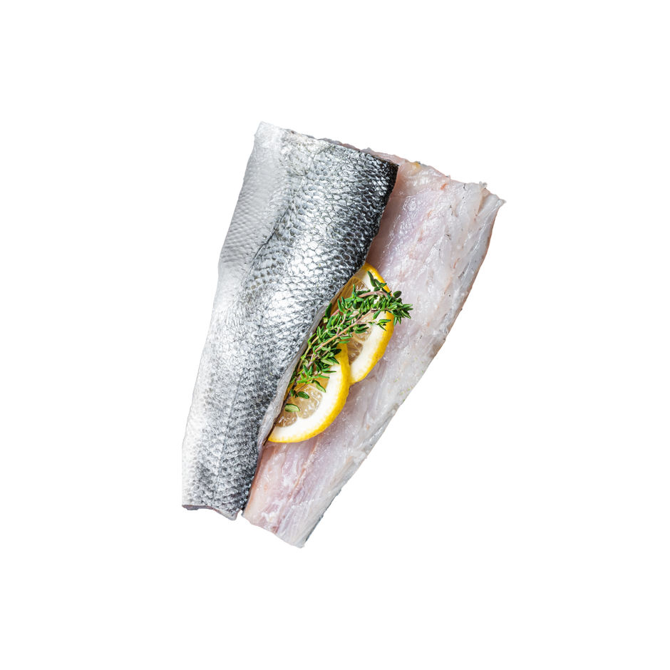 Branzino Fillet 1 lb – All Fresh Seafood