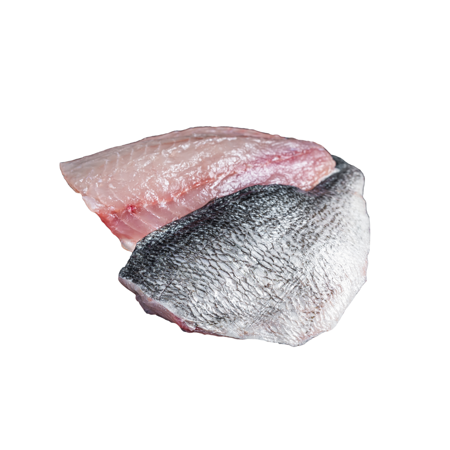 Mahi Mahi 1 lb – All Fresh Seafood