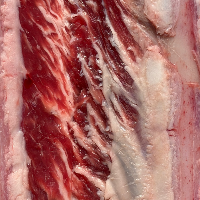 Whole Short Rib  - CAB High Choice