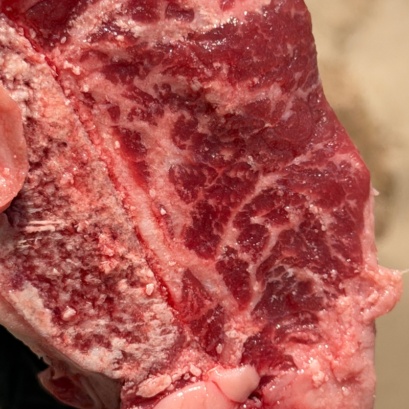 Whole Short Rib  - CAB High Choice