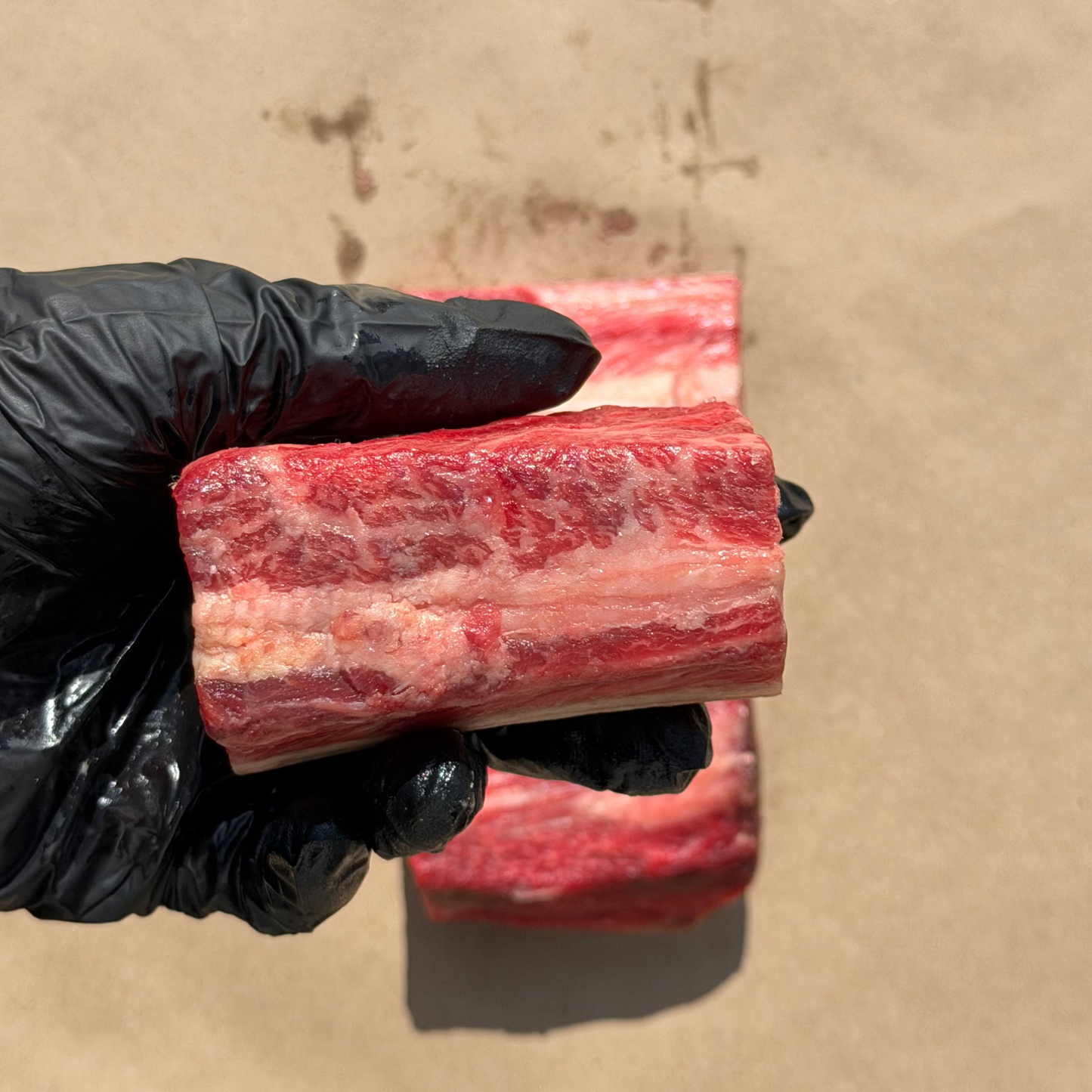 English Style Short Rib- CAB High Choice