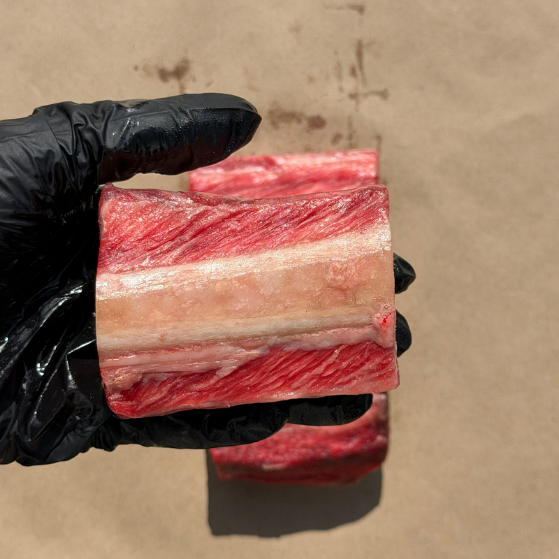 English Style Short Rib- CAB High Choice
