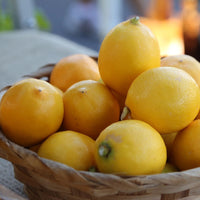 Meyer Lemon