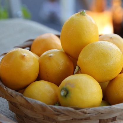 Meyer Lemon