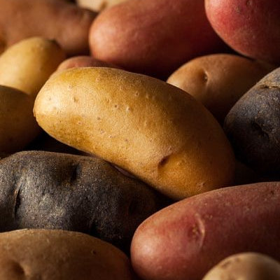 Fingerling Potato