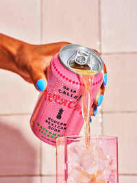 Watermelon Jalapeno Tepache Fermented Beverage 12 oz – De la Calle