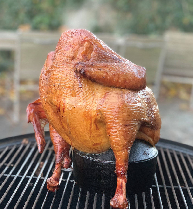 Cast Iron Beer Can Chicken Holder and Flavor Infuser - Outset