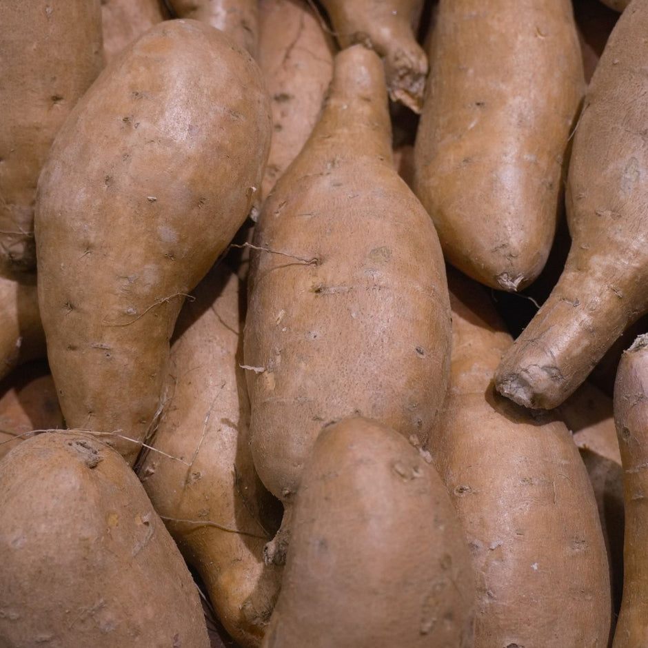 Red Sweet Potatoes - Each (~0.4 lbs)