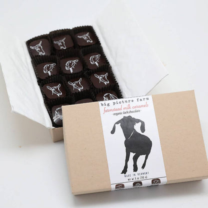 Chocolate Covered Goat Milk Caramel 2.5 oz – Big Picture Farm