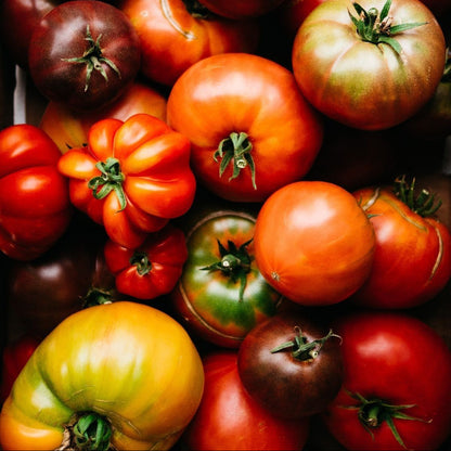 Tomato Heirloom - Each (~0.5 lbs)