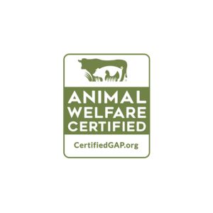 GrillHouse Meat Store - Premium meat and grill products