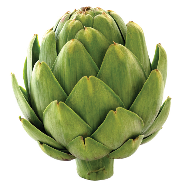 Organic Artichoke