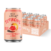 Grapefruit Lime Tepache Mexican Soda 12oz - De La Calle