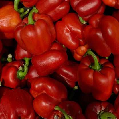 Organic Large Red Bell Peppers