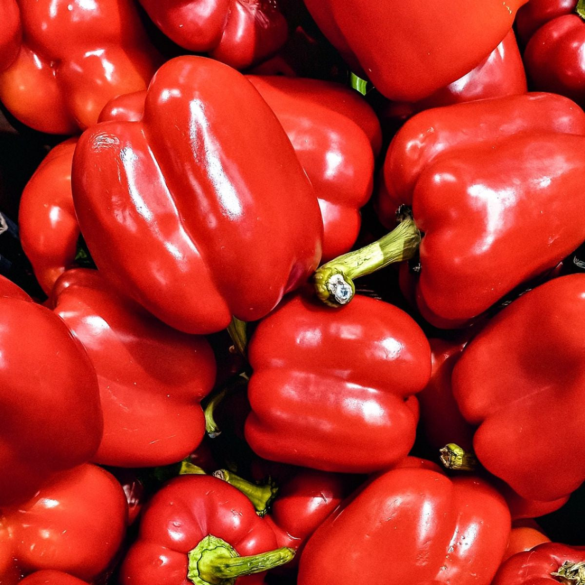 Organic Large Red Bell Peppers