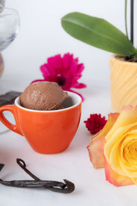 Sheep's Milk Frozen Yogurt Mexican Hot Cocoa 14oz - Le Zette