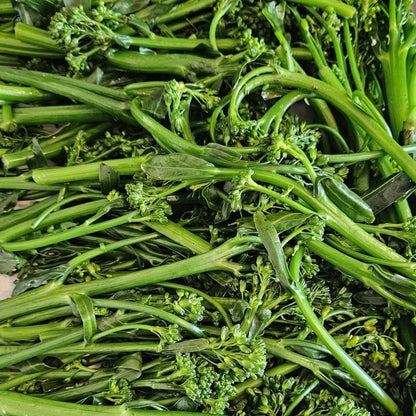 Broccolini