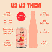 Grapefruit Lime Tepache Mexican Soda 12oz - De La Calle