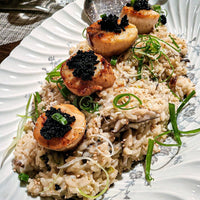 Scallops Dry 10/20 Ct 1 lb – All Fresh Seafood