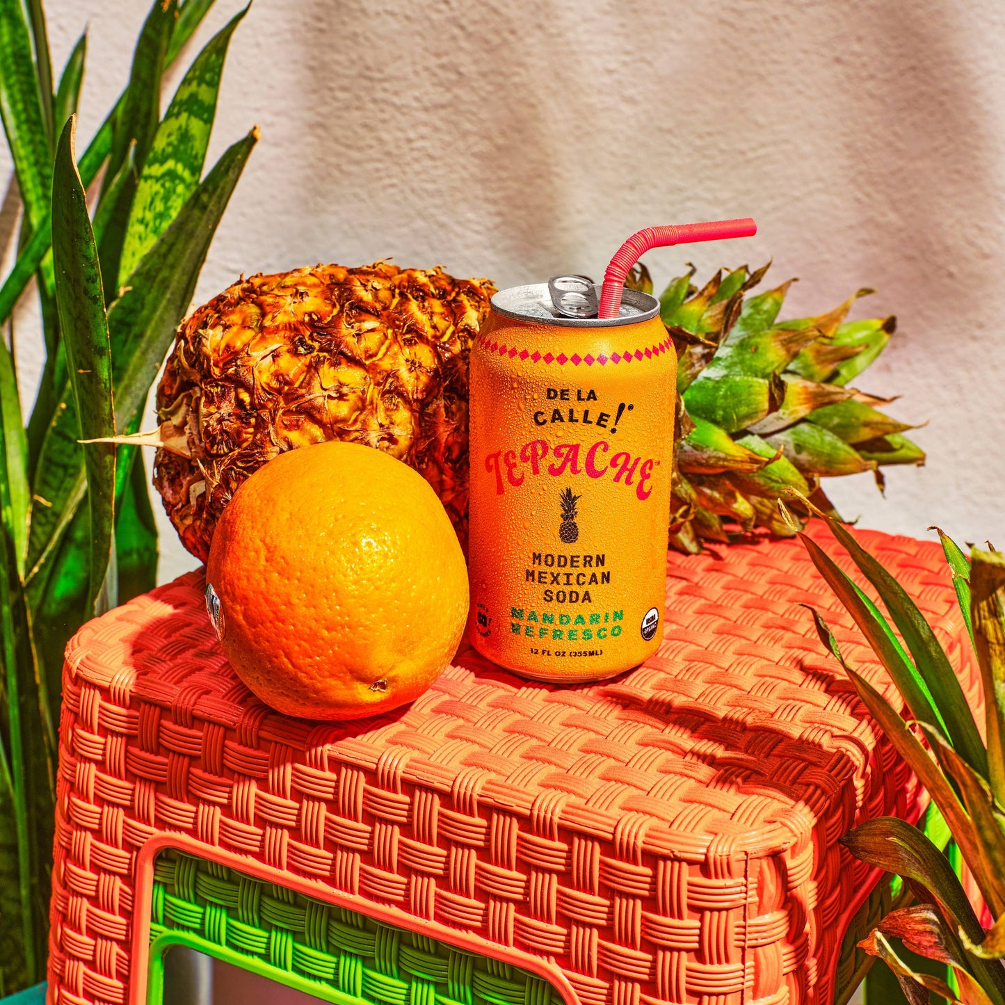 Mandarin Refresco Tepache Fermented Beverage 12 oz – De la Calle