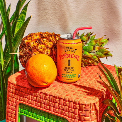 Mandarin Refresco Tepache Fermented Beverage 12 oz – De la Calle