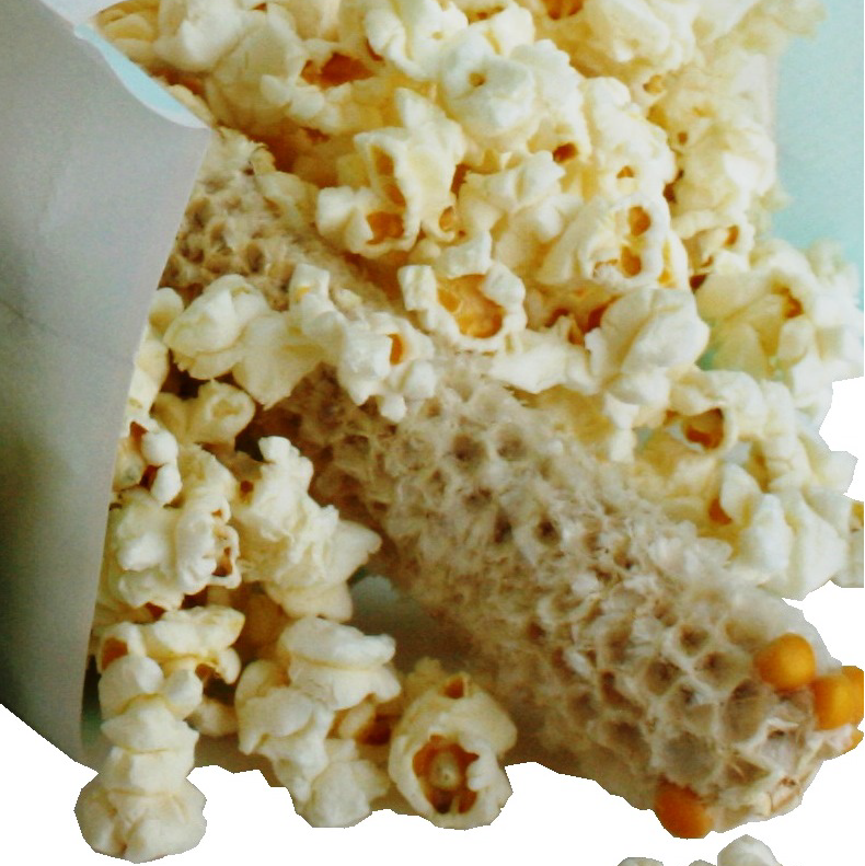 Farmer's Popcorn's Cob 2.5oz - Sunflower Food Company