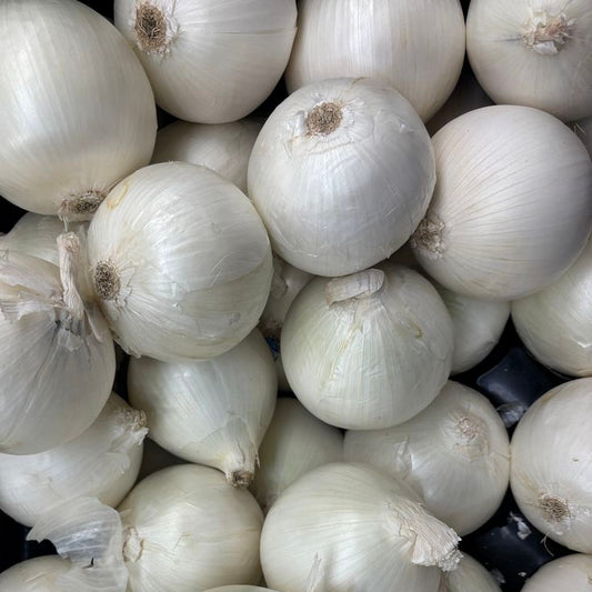 White Onion - Each (~0.85 lbs)