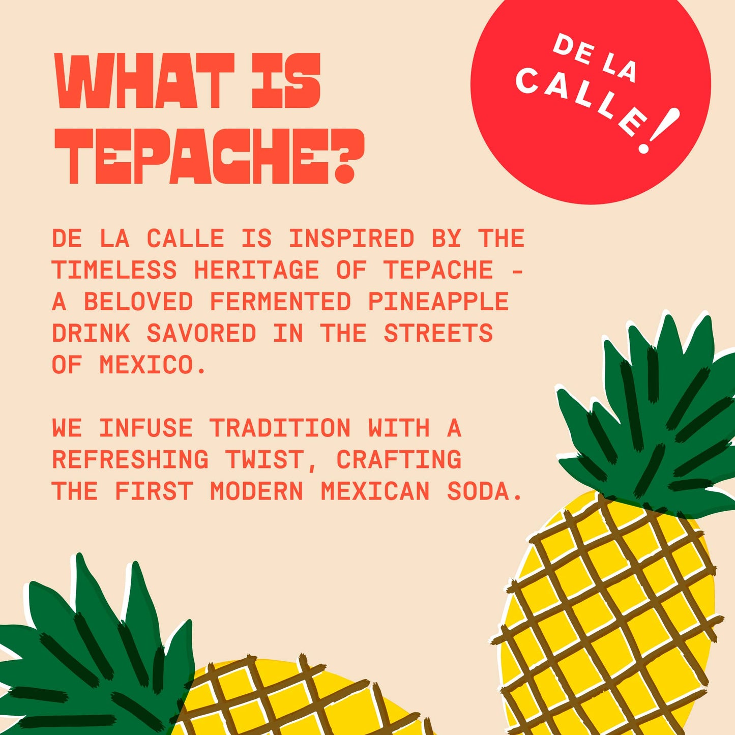 Grapefruit Lime Tepache Mexican Soda 12oz - De La Calle