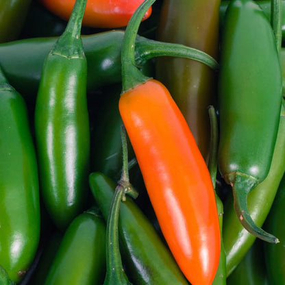 Chile Serrano Peppers - Each (~0.03 lbs)