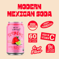 Strawberry Citrus Tepache Mexican Soda 12oz - De La Calle