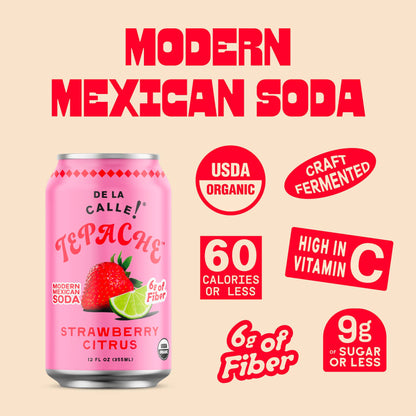 Strawberry Citrus Tepache Mexican Soda 12oz - De La Calle