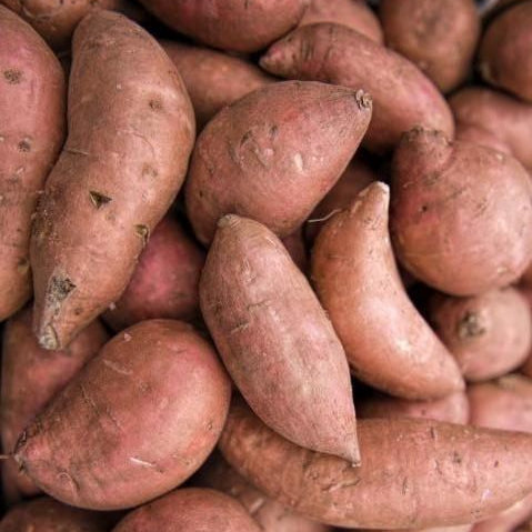 Red Sweet Potatoes - Each (~0.4 lbs)