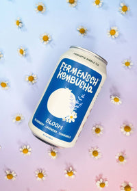 Blueberry Lavender Chamomile Kombucha 12 oz – Fermensch Kombucha