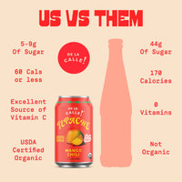 Mango Chili Tepache Mexican Soda 12oz - De La Calle