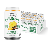 Pineapple Spice Tepache Mexican Soda 12oz - De La Calle