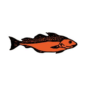 GrillHouse Meat Store - Premium meat and grill products
