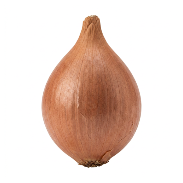 Organic Shallot