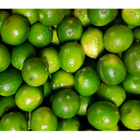 Lime