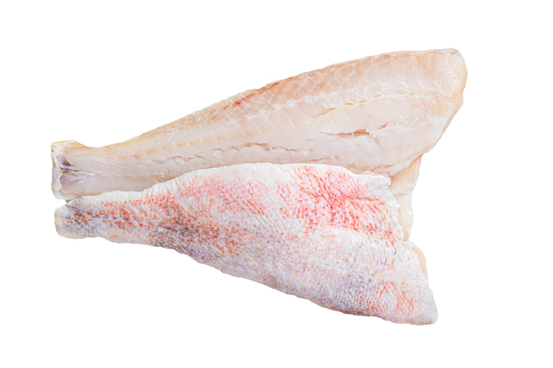 Grouper Fillet Skin Off 1 lb – All Fresh Seafood