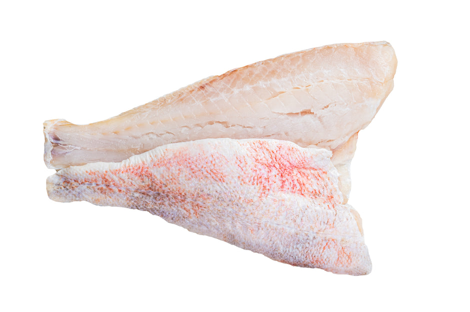 Grouper Fillet Skin Off 1 lb – All Fresh Seafood